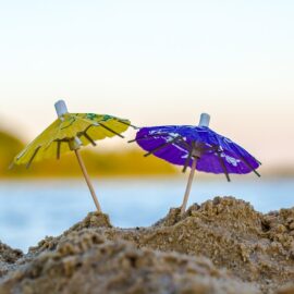 Activiteiten tijdens de zomer